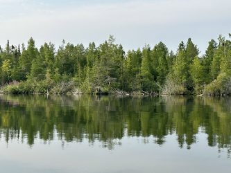 Image of a shoreline of a lake